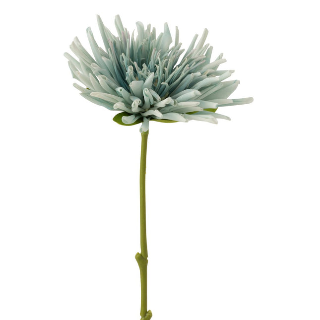 J-Line Chrysanthemum Mini Plastic White Light Blue