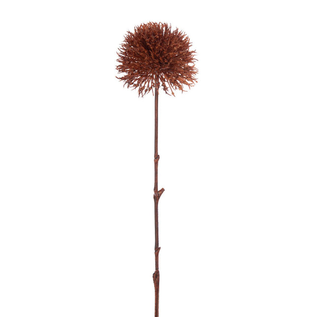J-Line kunstbloem Allium 3 Bloemen - kunststof - roest - L - 24 stuks