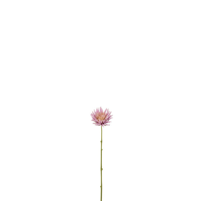 J-Line Chrysanthemum Mini - plastic - white/light purple - 24 pieces