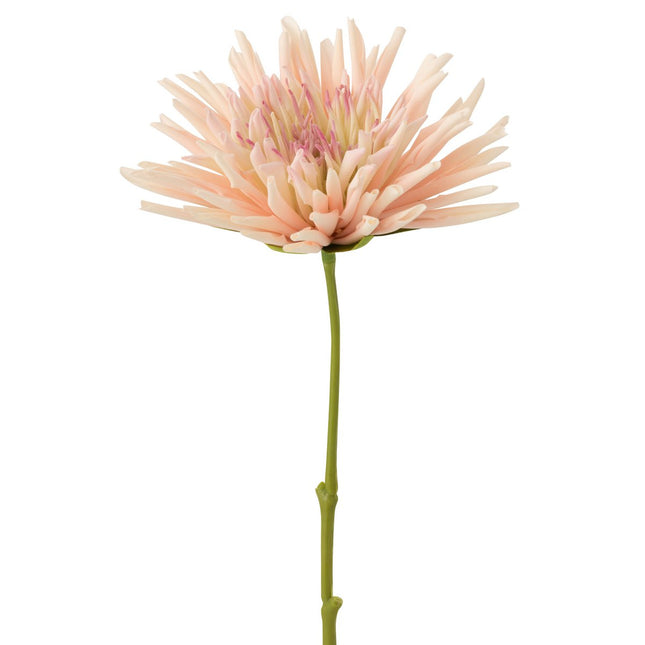 J-Line Chrysanthemum Mini - white/light pink - 24 pieces