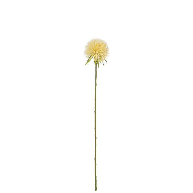 J-Line Flower Allium Plastic Light Yellow S