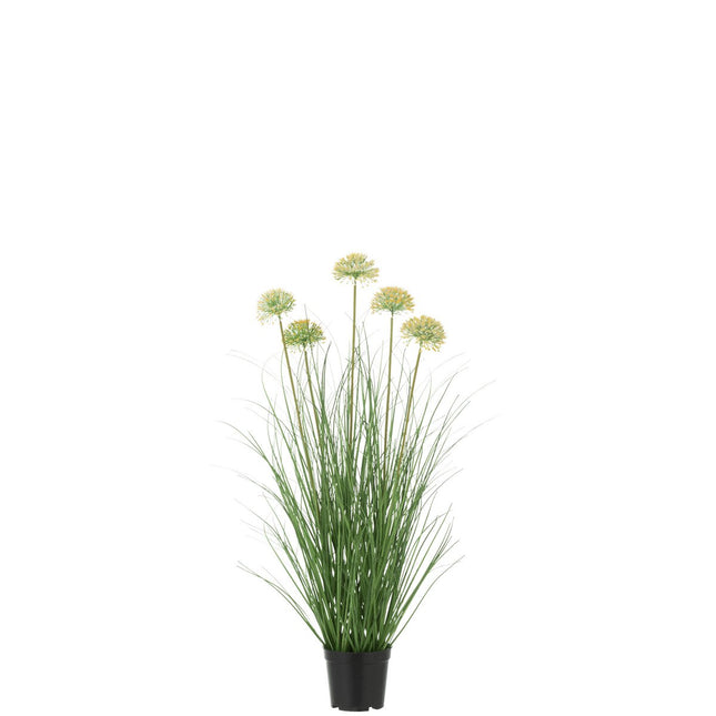 J-Line Grass With Flower In Pot PVC Green