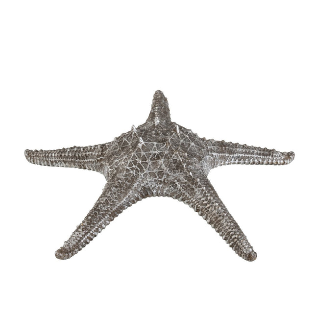 J-Line Starfish Poly Grey/Silver