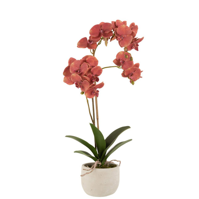 J-Line Orchid In Pot Plastic/Cement Deep Red/Beige