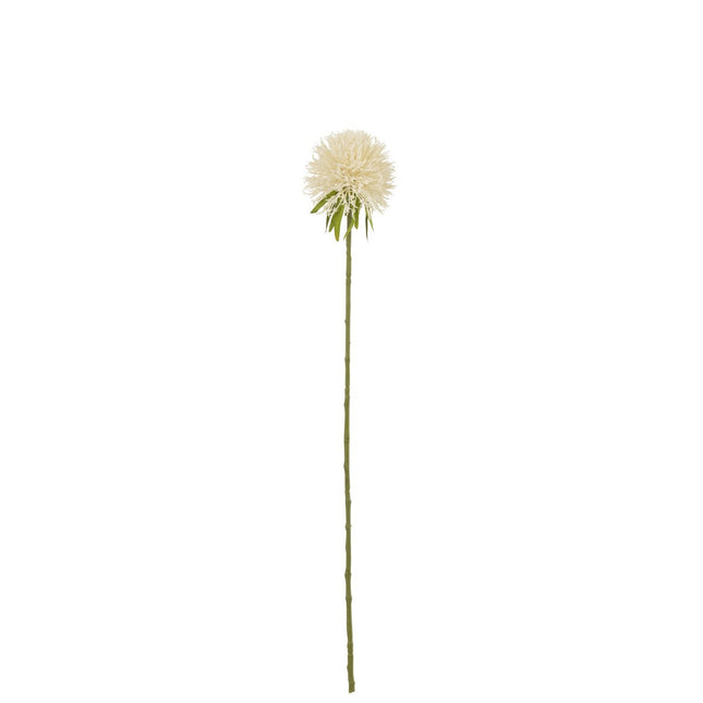 J-Line Bloem Allium - kunststof - wit - small - 24 stuks