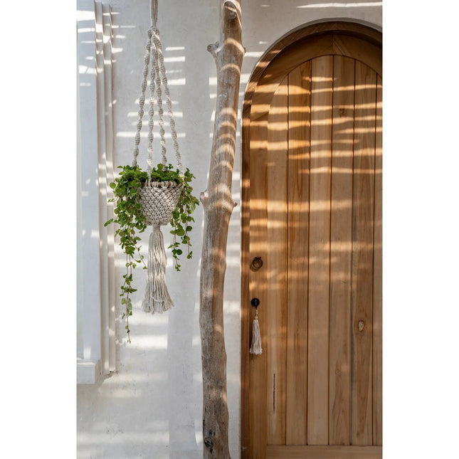 The Twisted Macramé Plant Holder - Natural White -S
