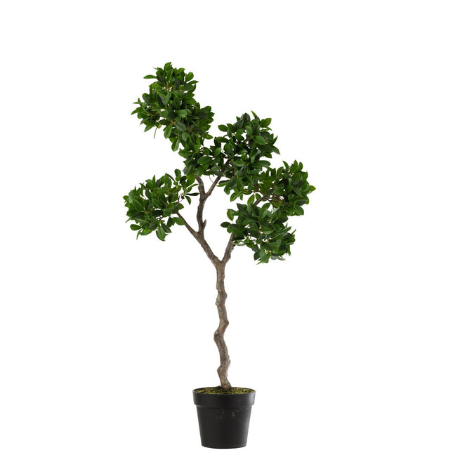 J-Line Chinese Vijg Ficus Boom In Pot Plastiek Groen/Zwart Large