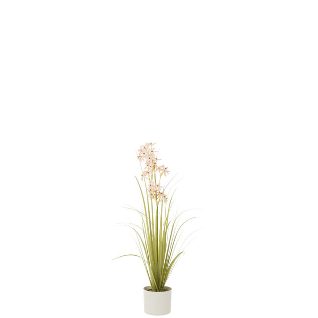 J-Line Allium In Pot Plastiek Groen/Licht Roze Small