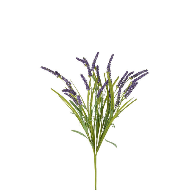 J-Line tak Lavender - kunststof - paars