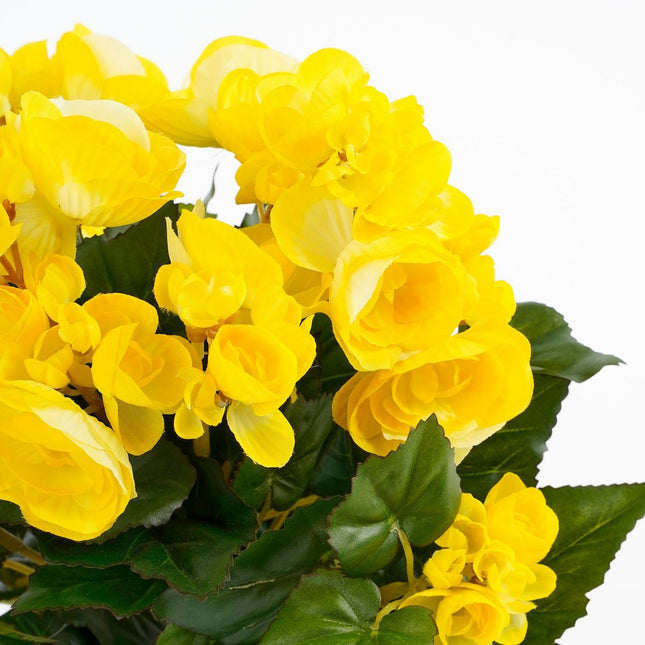 Artificial Begonia Plant in Flower Pot Stan - H30 x Ø25 cm - Yellow
