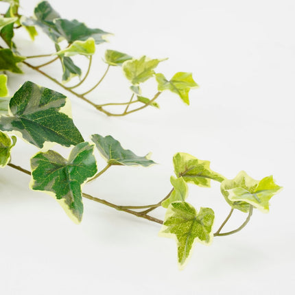 Hedera Artificial Hanging Plant - H71 cm - Green Variegated