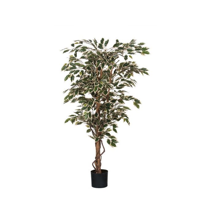 Ficus Kunstplant - H150 x Ø75 cm - Groen Bont