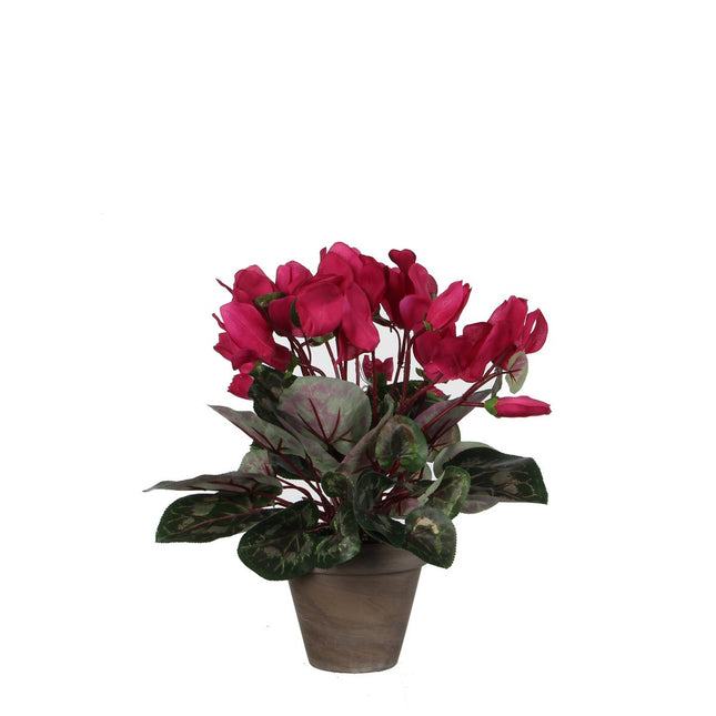 Artificial Cyclamen Plant in Flower Pot Stan - H30 x Ø30 cm - Dark Pink