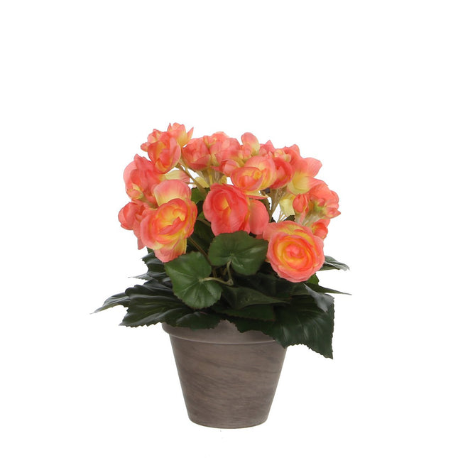 Artificial Begonia Plant in Stan Flowerpot - H30 x Ø25 cm - Salmon Pink