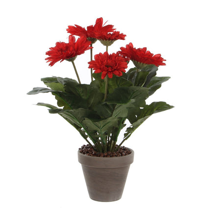Artificial Gerbera Plant in Flower Pot Stan - H35 x Ø30 cm - Red