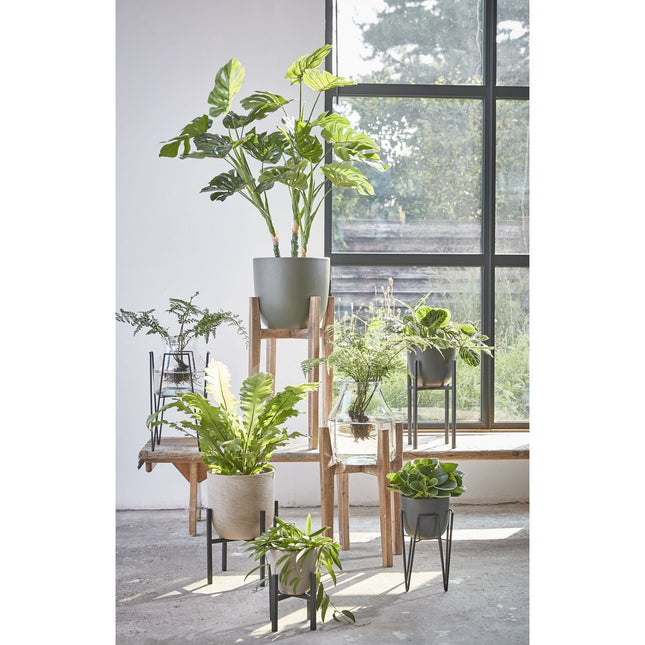 Blom Plant Stand - L29.5 x W29.5 x H50 cm - Metal - Black
