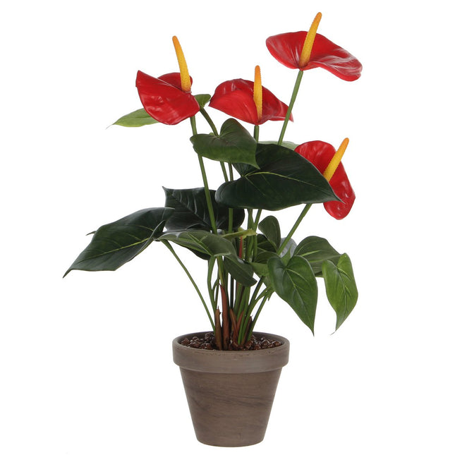 Artificial Anthurium Plant in Flower Pot Stan - H38 x Ø30 cm - Red