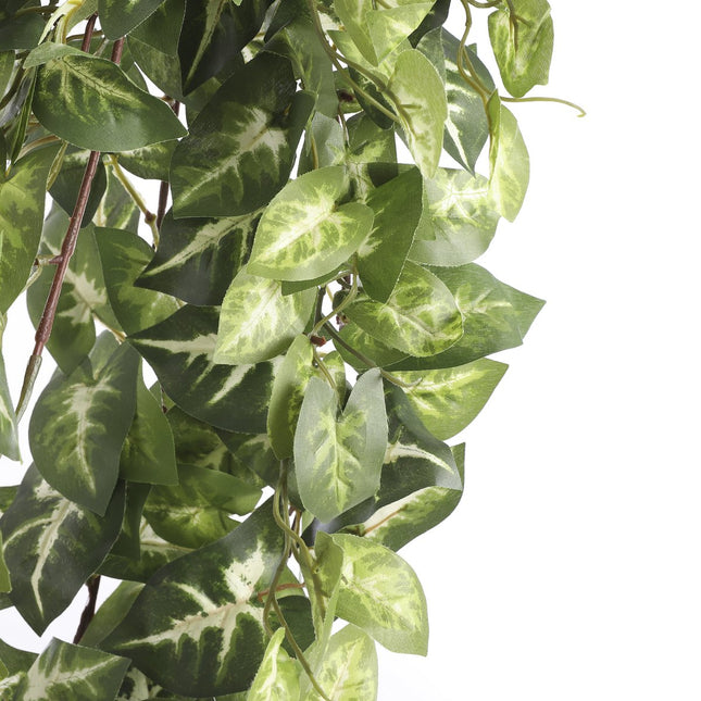 Fittonia Kunst Hangplant - L15 x B30 x H80 cm - Groen