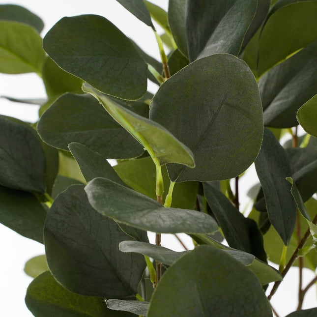 Artificial Eucalyptus Plant in Flower Pot - H75 x Ø15 cm - Green