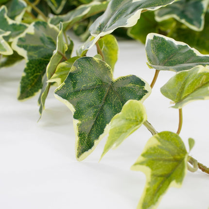 Hedera Artificial Hanging Plant - H86 cm - Green Variegated
