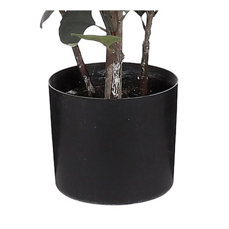 Artificial Eucalyptus Plant in Flower Pot - H150 x Ø30 cm - Green