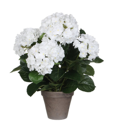 Artificial Hydrangea Plant in Flower Pot Stan - H45 x Ø45 cm - White