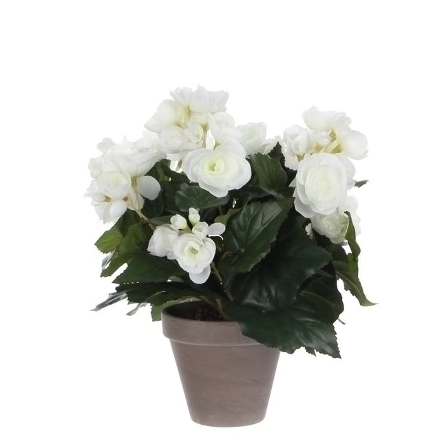 Begonia Kunstplant in Bloempot Stan - H30 x Ø25 cm - Wit