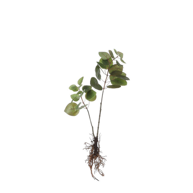 Artificial Eucalyptus Plant - L12 x W28 x H64 cm - Green