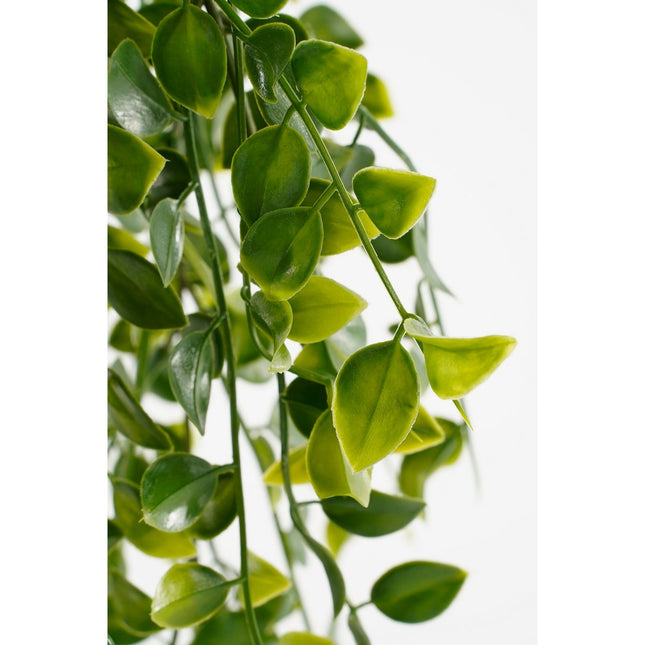 Artificial Ficus Hanging Plant in Pot - H46 x Ø20 cm - Green