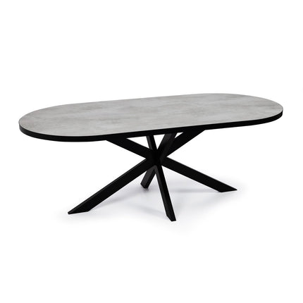 Stalux Plat ovale eettafel 'Noud' 210 x 100, kleur zwart / beton