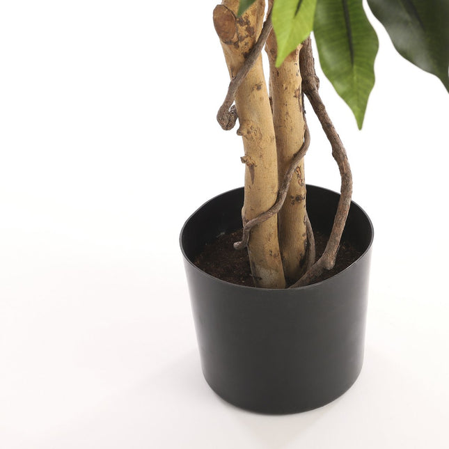 Artificial Ficus Plant - H150 x Ø85 cm - Green