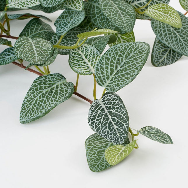 Fittonia Kunst Hangplant - L15 x B20 x H54 cm - Groen