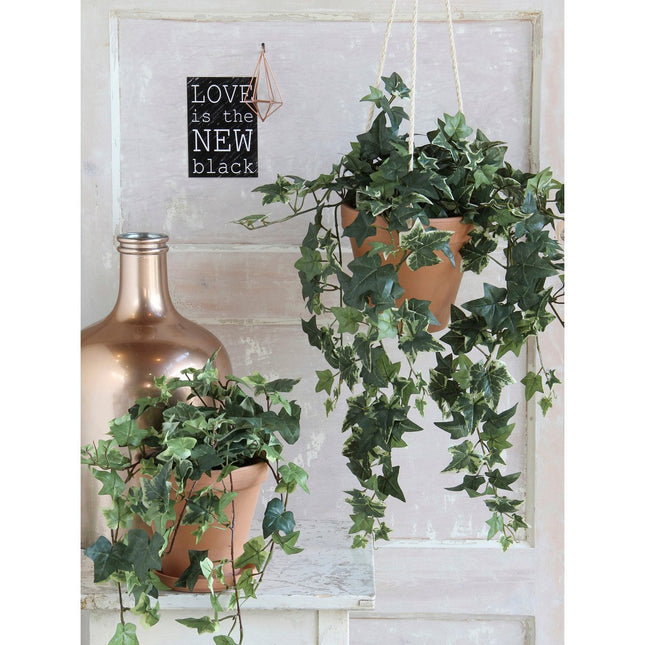 Hedera Artificial Plant in Flower Pot Stan - H45 x Ø25 cm - Green Variegated