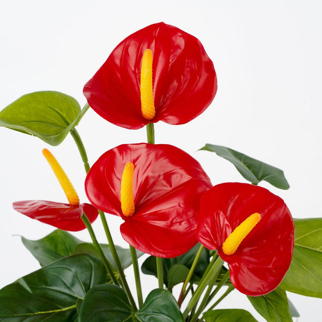 Artificial Anthurium Plant in Flower Pot Stan - H38 x Ø30 cm - Red