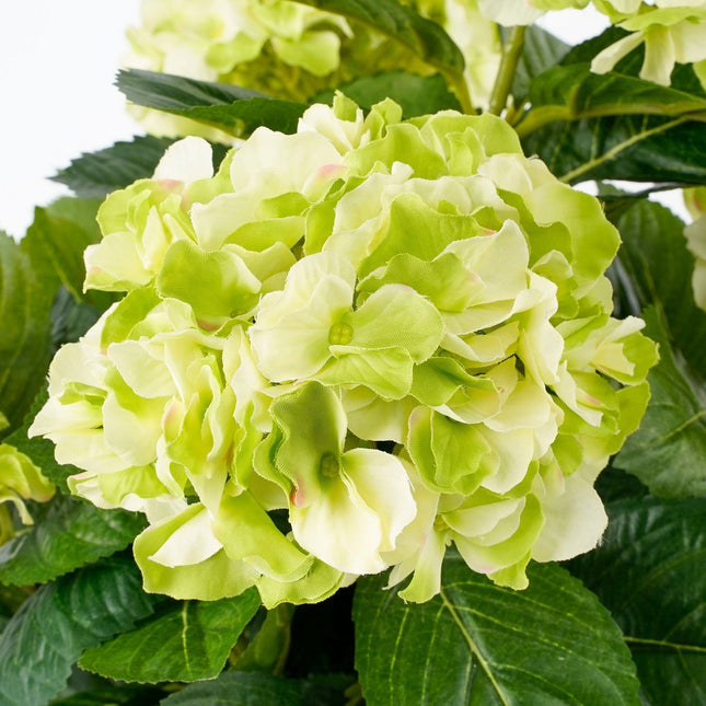 Artificial Hydrangea Plant in Flower Pot Stan - H45 x Ø45 cm - Green