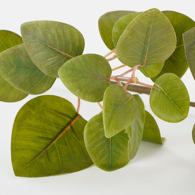 Eucalyptus Kunstplant - L12 x B28 x H64 cm - Groen