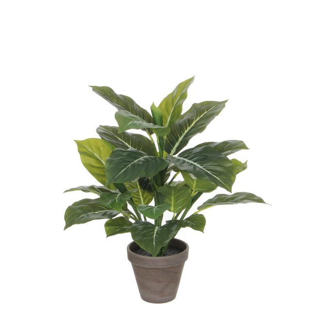 Evergreen Artificial Plant in Flower Pot Stan - H49 x Ø40 cm - Green