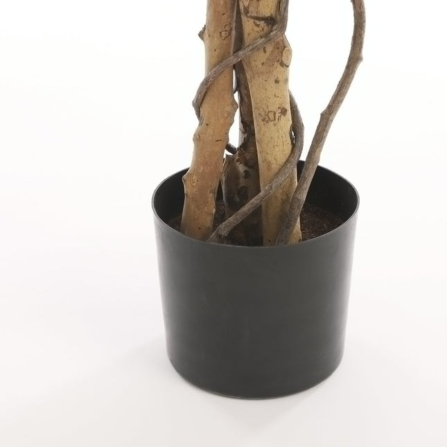 Artificial Ficus Plant - H180 x Ø90 cm - Green Variegated