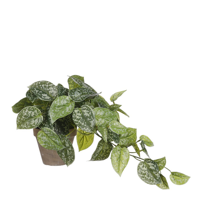 Scindapsus Artificial Plant in Flower Pot Stan - H44 x Ø17 cm - Green