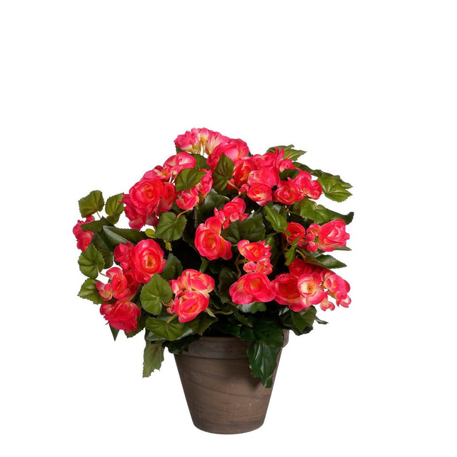 Artificial Begonia Plant in Flower Pot Stan - H37 x Ø36 cm - Dark Pink