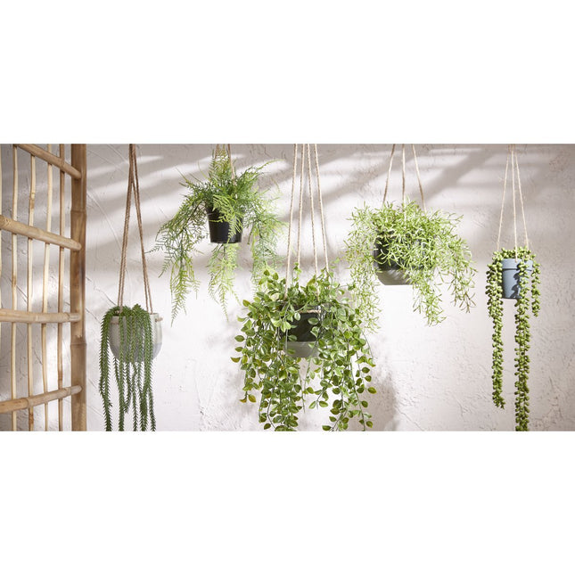 Senecio Artificial Hanging Plant - H56 x Ø9 cm - Green