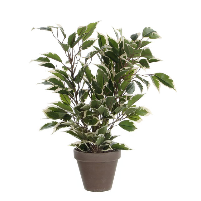 Ficus Natasja Artificial Plant in Flower Pot Stan - H40 x Ø30 cm - Green Variegated