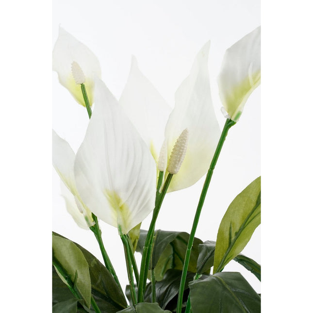 Spathiphyllum Artificial Plant in Flower Pot Stan - H50 x Ø40 cm - White