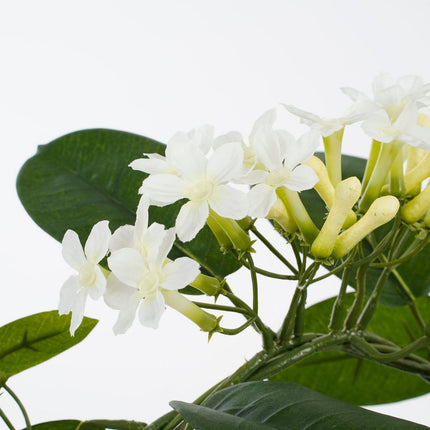 Stephanotis Artificial Plant in Flower Pot Stan - H50 x Ø40 cm - White