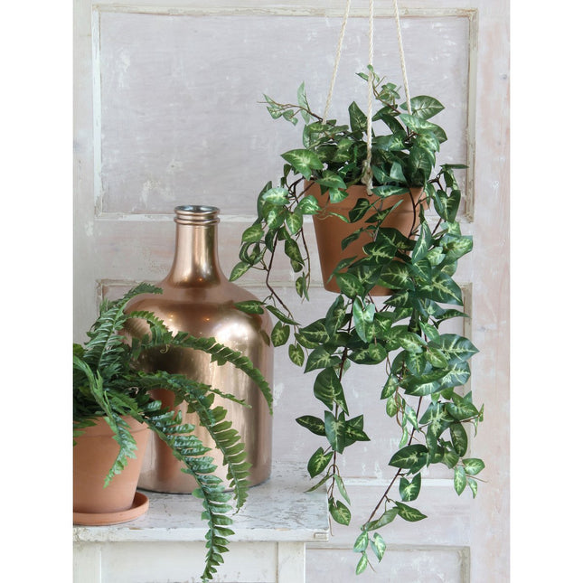 Fittonia Artificial Hanging Plant - L15 x W30 x H80 cm - Green