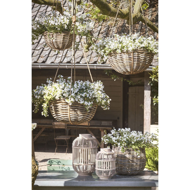 Marcia Hanging Plant Basket for Outdoors - H20 x Ø40 cm - Rattan - Gray