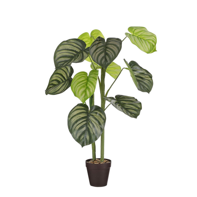 Artificial Caladium Plant in Flower Pot - H100 x Ø50 cm - Light green