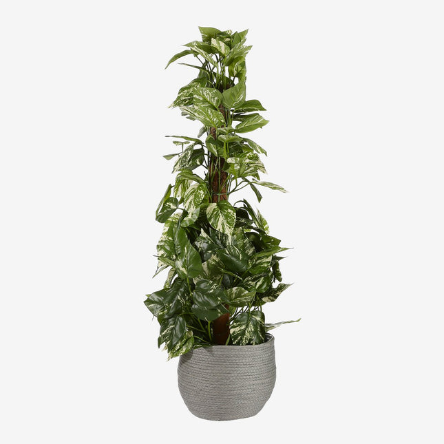 Jorck Basket for Plants - Set of 3 - H24 x Ø26 cm - Paper - Gray