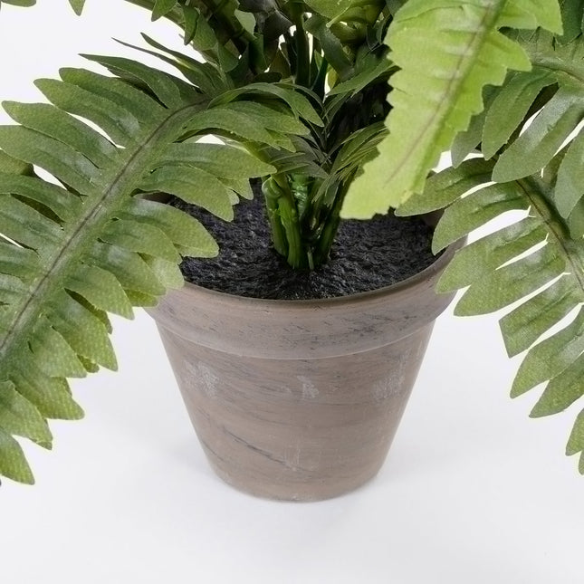 Artificial Boston Fern Plant in Flower Pot Stan - H35 x Ø45 cm - Green