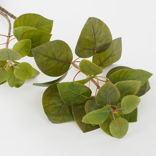 Artificial Eucalyptus Plant - L12 x W28 x H64 cm - Green